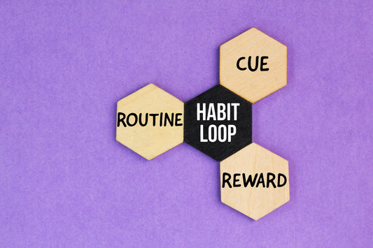 6 Habits of a Successful Artist