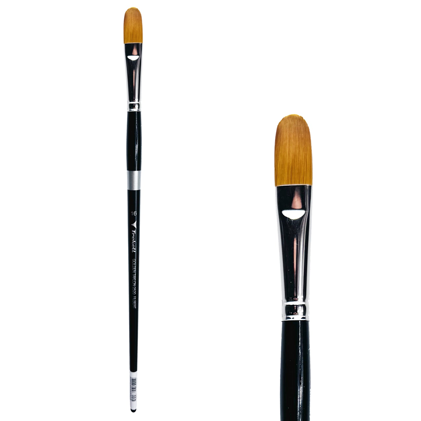 Trekell Golden Taklon #16 Filbert Brush is ideal for Watercolor, Oil, and Acrylic Painting
