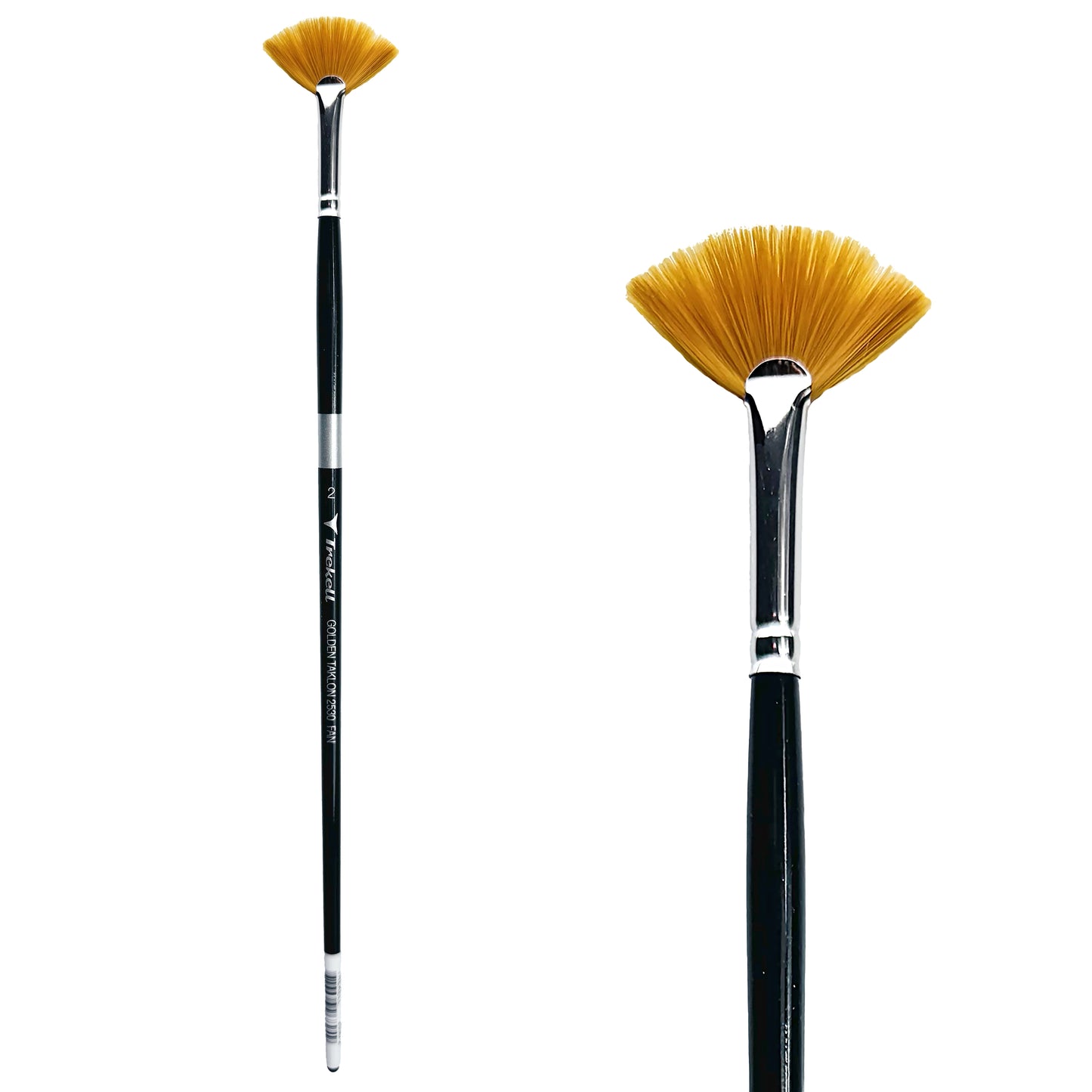 Trekell Golden Taklon #2 Fan Brush is ideal for Watercolor, Oil, and Acrylic Painting