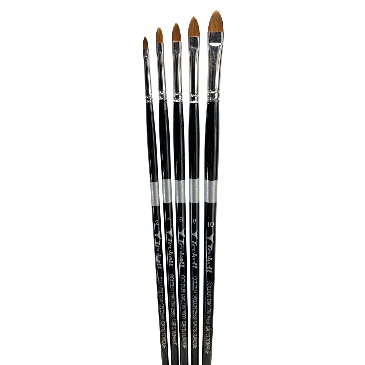 Trekell Golden Taklon Complete Cat's Tongue Brush Set is ideal for Watercolor, Oil, and Acrylic Painting