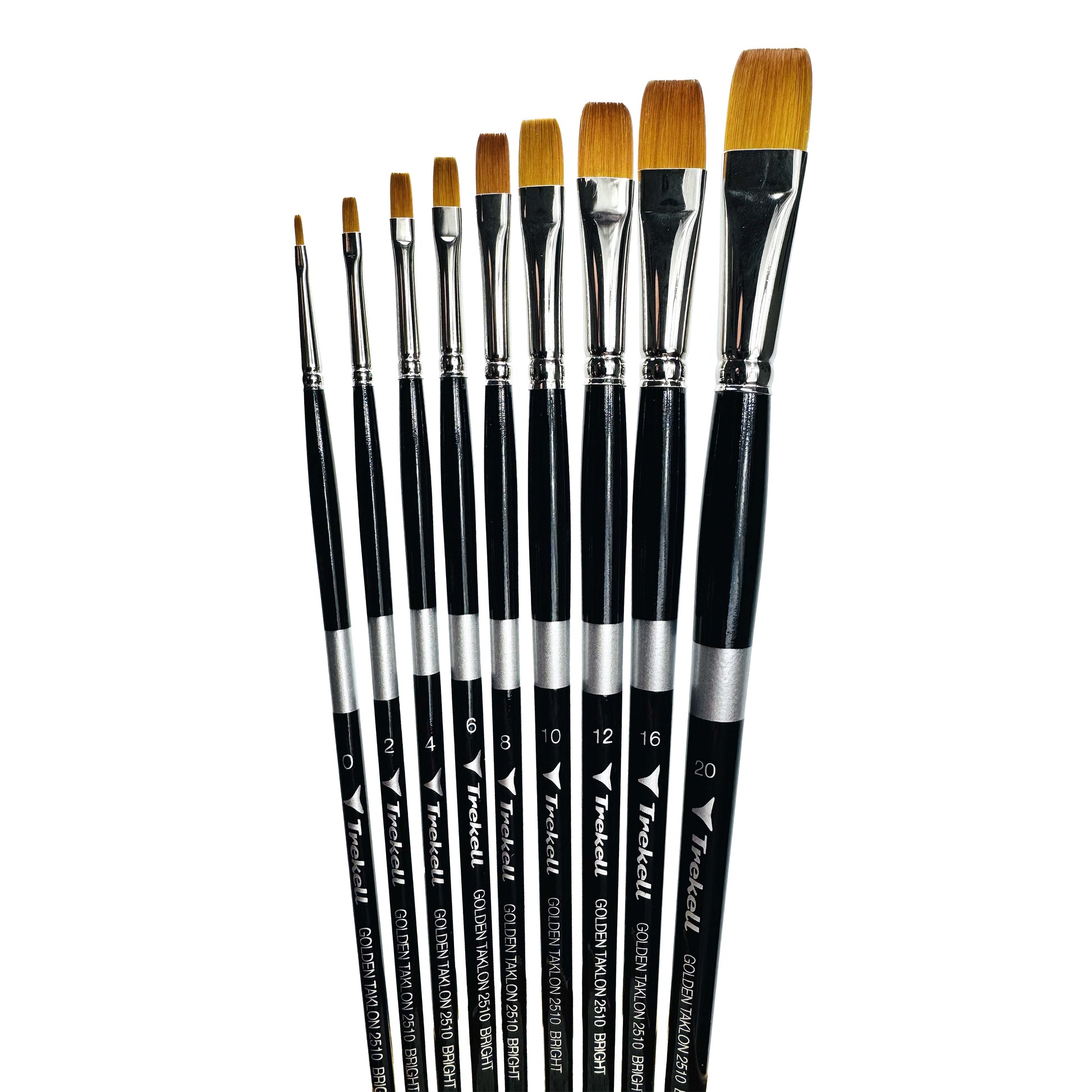 Trekell Golden Taklon Long Handle Artist brush, Complete Set, Bright,  ideal for Watercolor, Oil, and Acrylic Painting