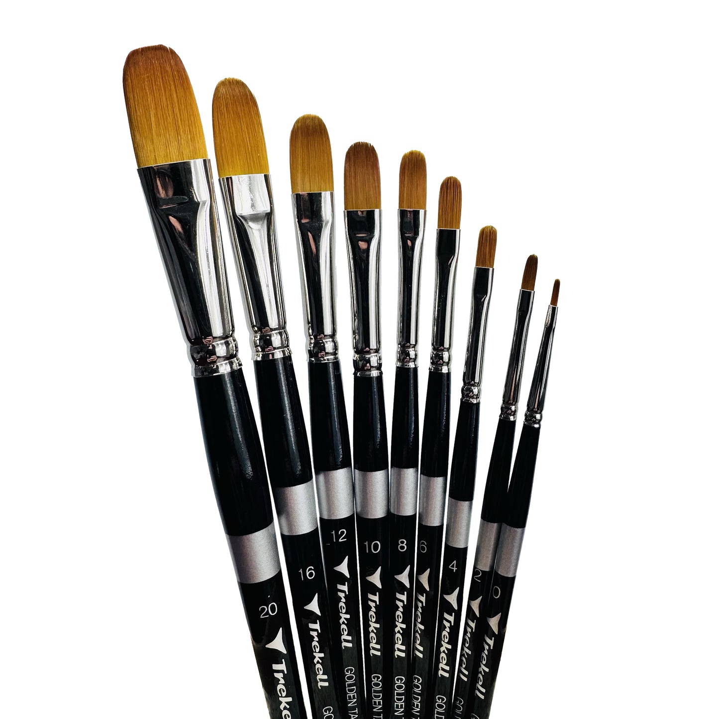 Trekell Golden Taklon Short Handle Artist brush, Complete Set, Filbert, ideal for Watercolor, Oil, and Acrylic Painting