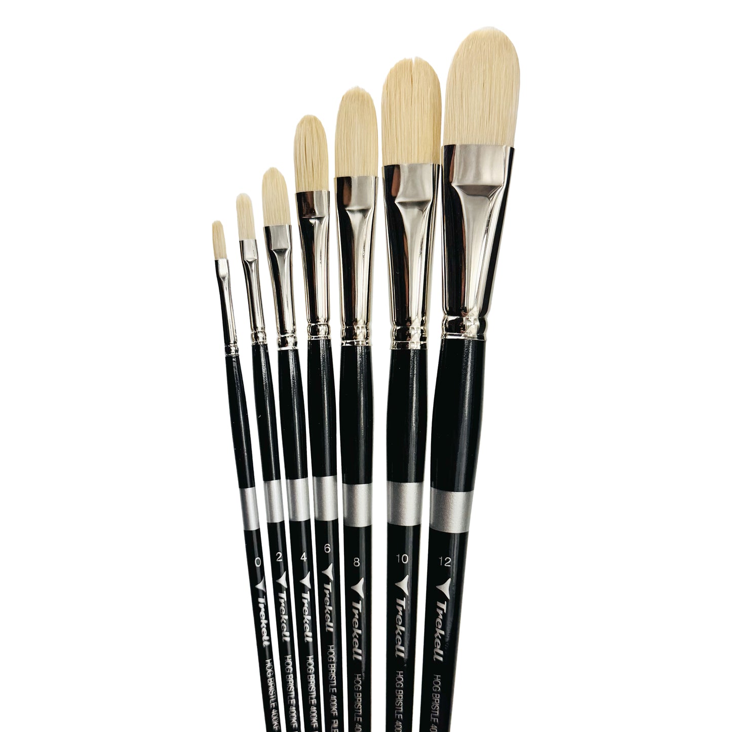 Trekell Trekell Hog Bristle Long Handle Artist Brush, Complete Set, Filbert, ideal for Oil and Acrylic Painting