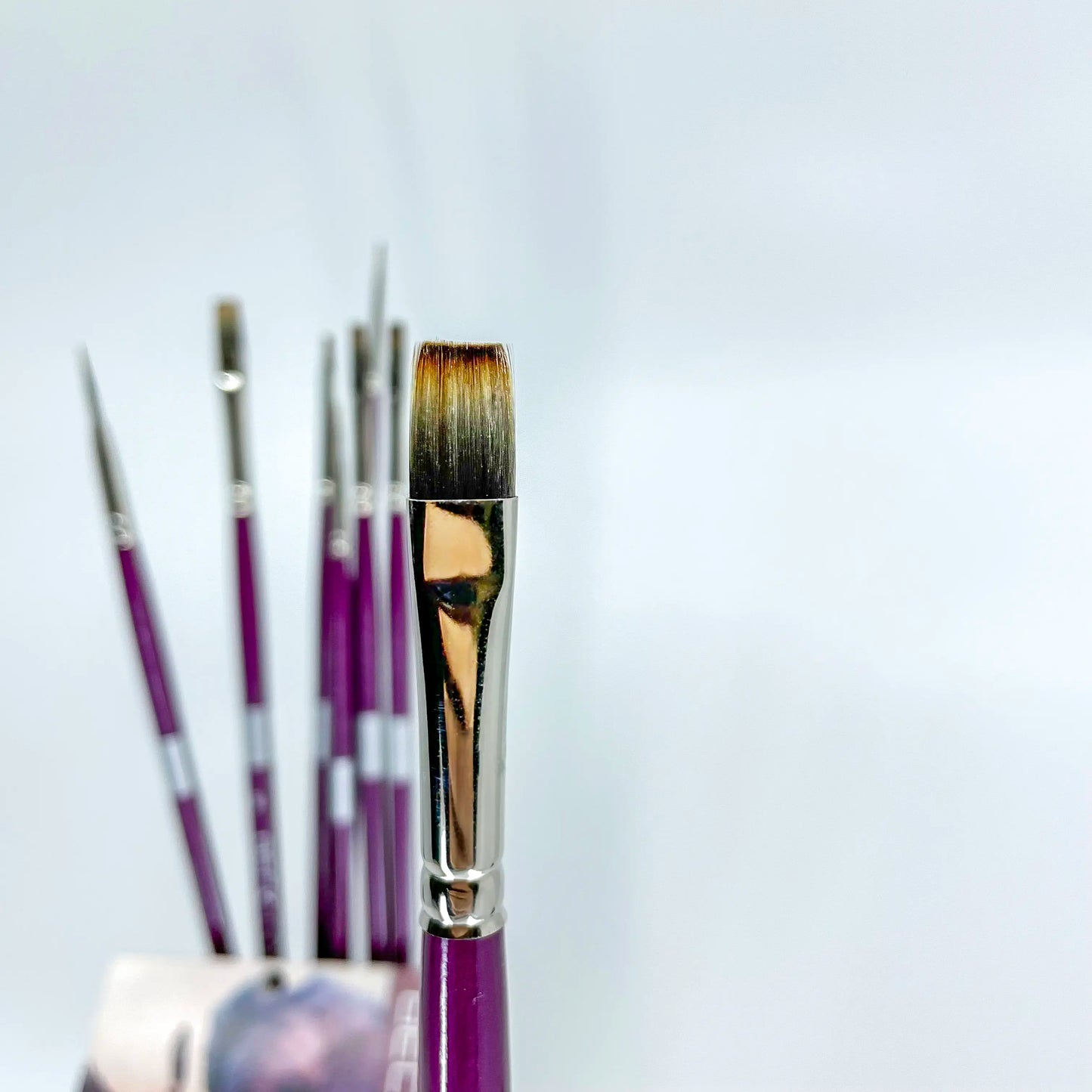 Julie Beck Limited Edition Brush Set