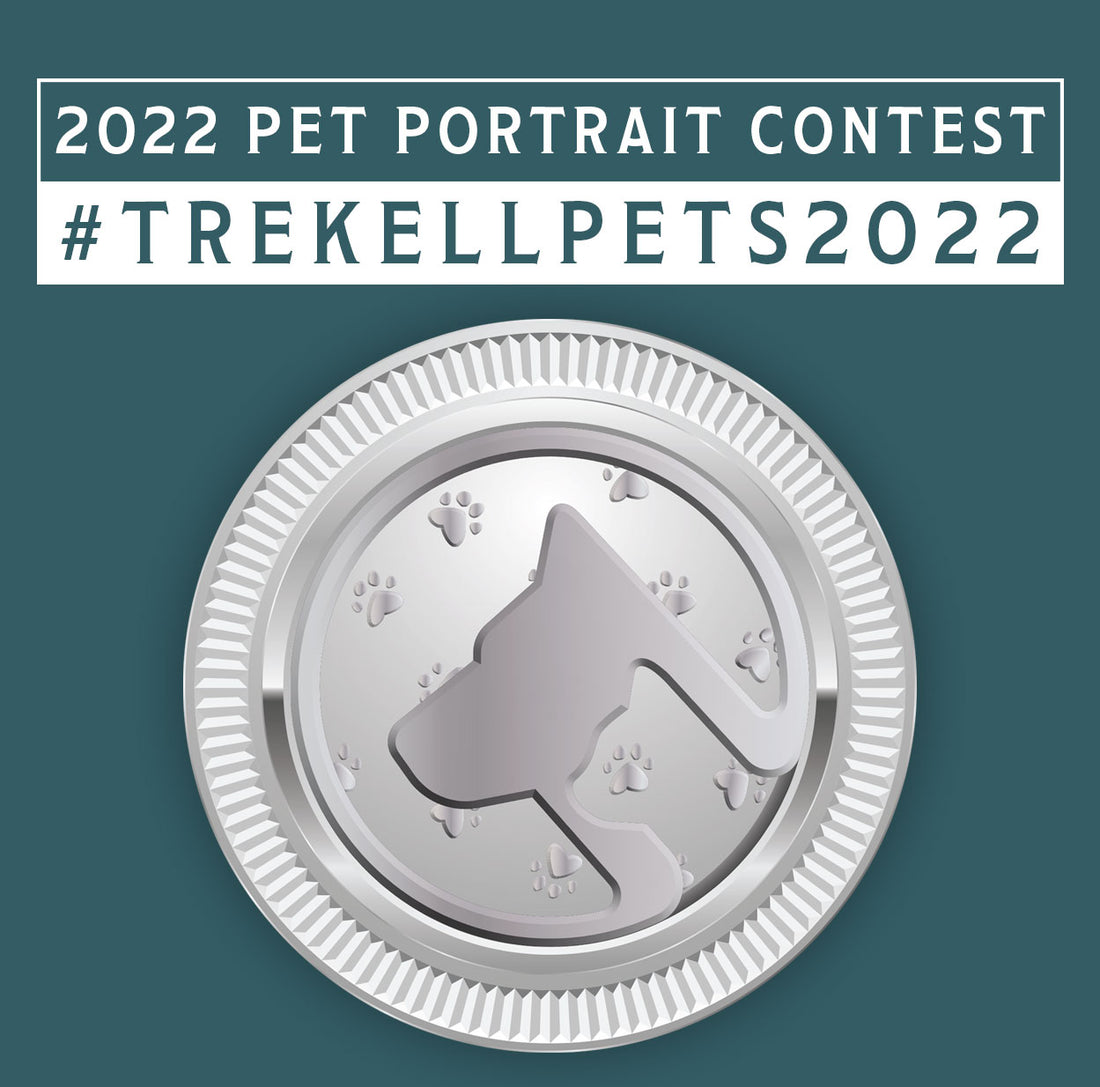 The 4th Annual Pet Portrait Competition | Trekell Art Supply