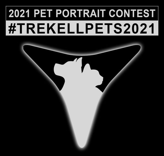 Pet Portrait Winners 2021 | Trekell Art Supply