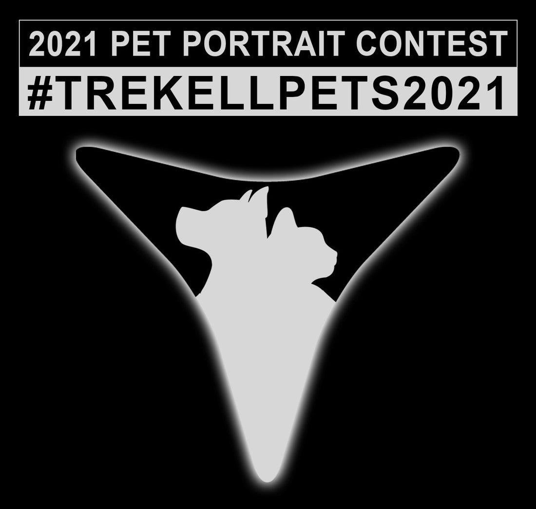 Pet Portrait Winners 2021 | Trekell Art Supply