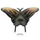 Trekell Art Supplies Luna Moth Baltic Birch Premcore Wooden Canvas Panel