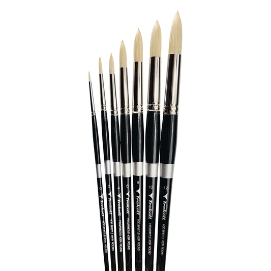 Trekell Trekell Hog Bristle Long Handle Artist Brush, Complete Set, Round, ideal for Oil and Acrylic Painting
