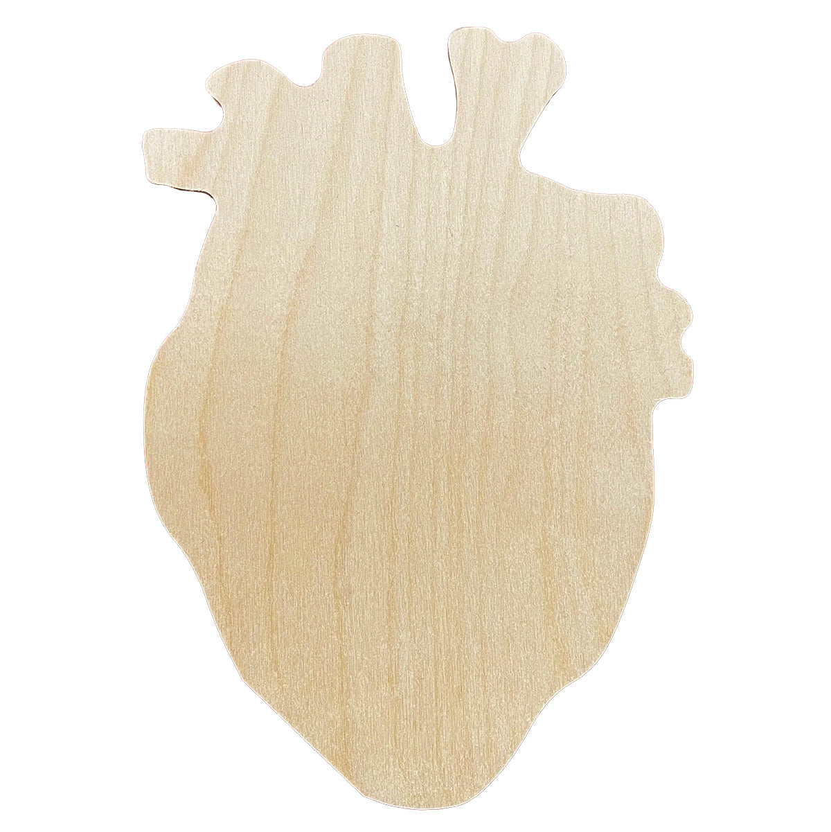 Panel anatómico del corazón de Trekell - Lienzo para pintar en madera