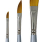 Trekell MIDZ Desert Blaze - Premium Artist Brushes for Beginners and Intermediate Artists - Trekell Art Supplies