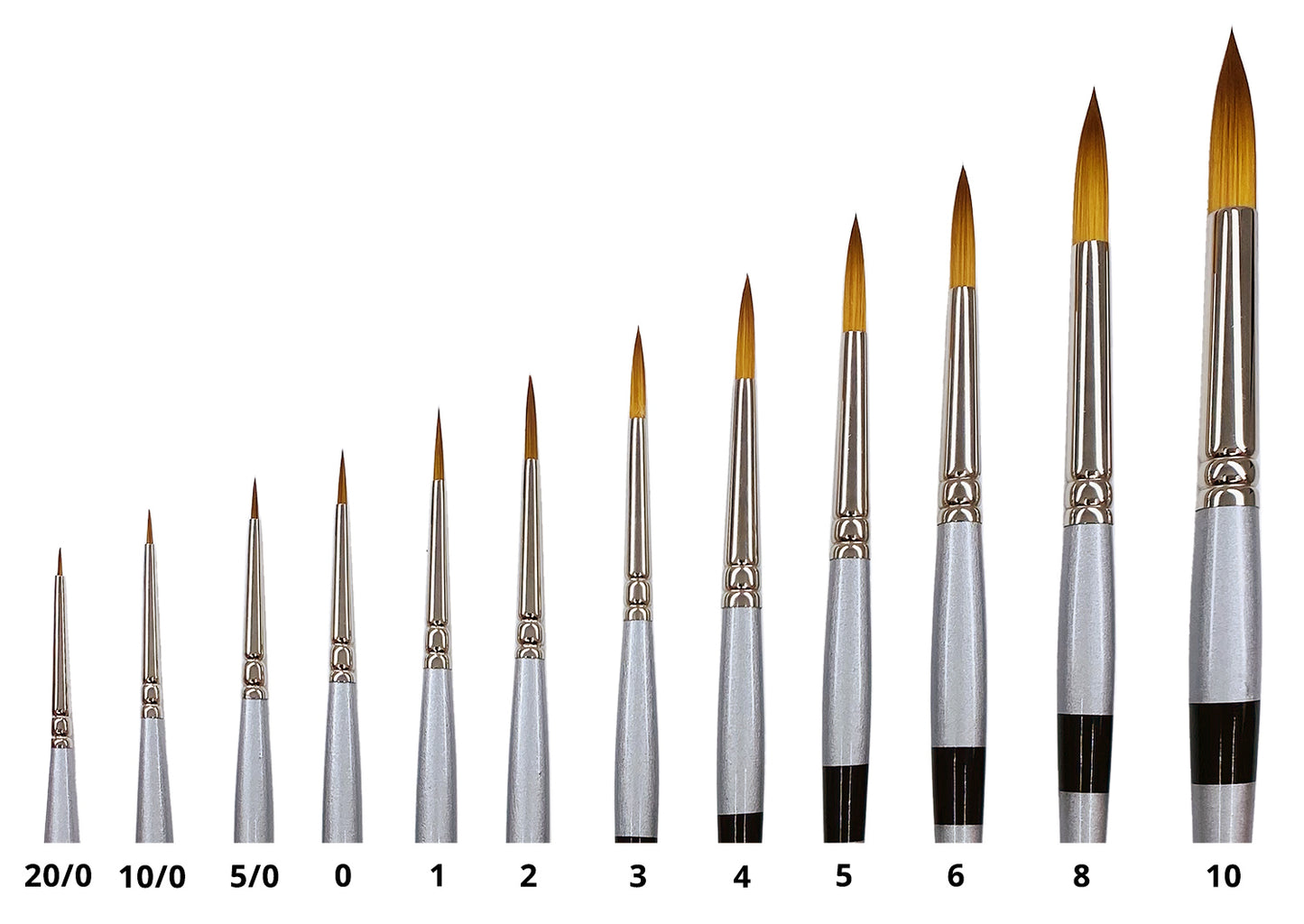 Trekell MIDZ Desert Blaze - Premium Artist Brushes for Beginners and Intermediate Artists - Trekell Art Supplies