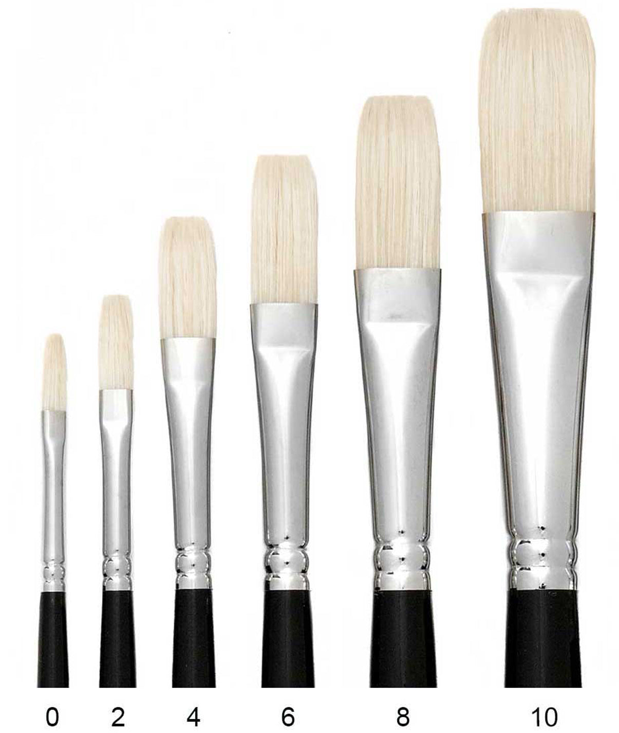 Hog Bristle - 10" Long Handle Artist Brush for oil paint Chungking bristles Trekell Art Supplies Long Flat