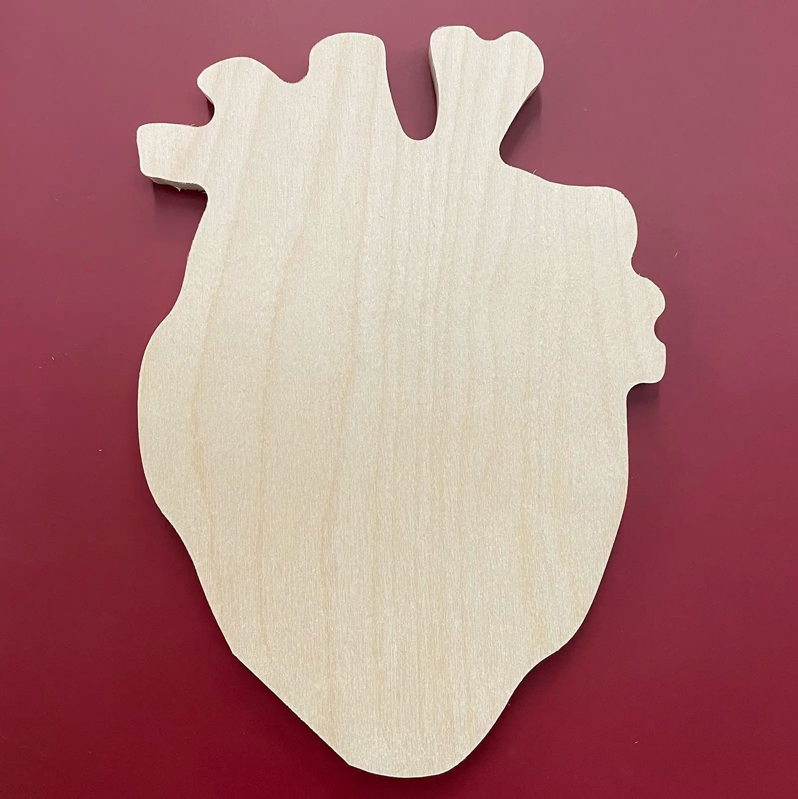 Anatomical Heart Wooden Painting Canvas